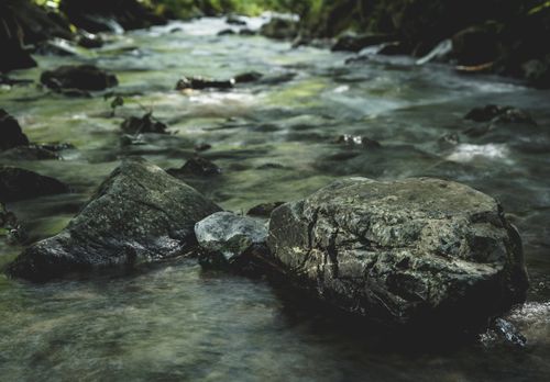 Free A tranquil stream flowing over smooth rocks in a lush, green forest setting. Stock Photo