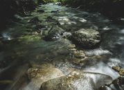 Water Flowing in the Rocky River