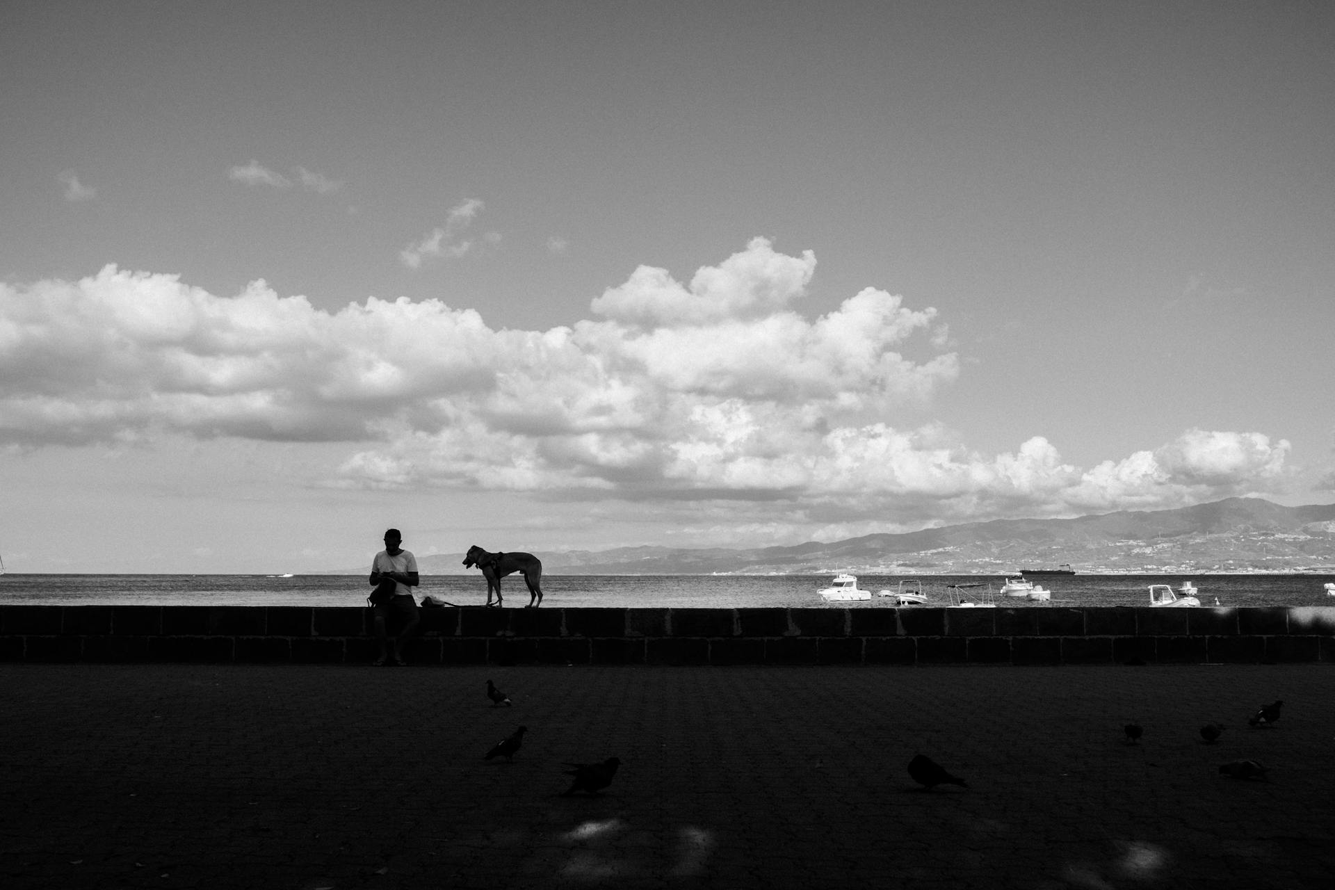 A Grayscale of a Man with His Pet Dog by the Bay