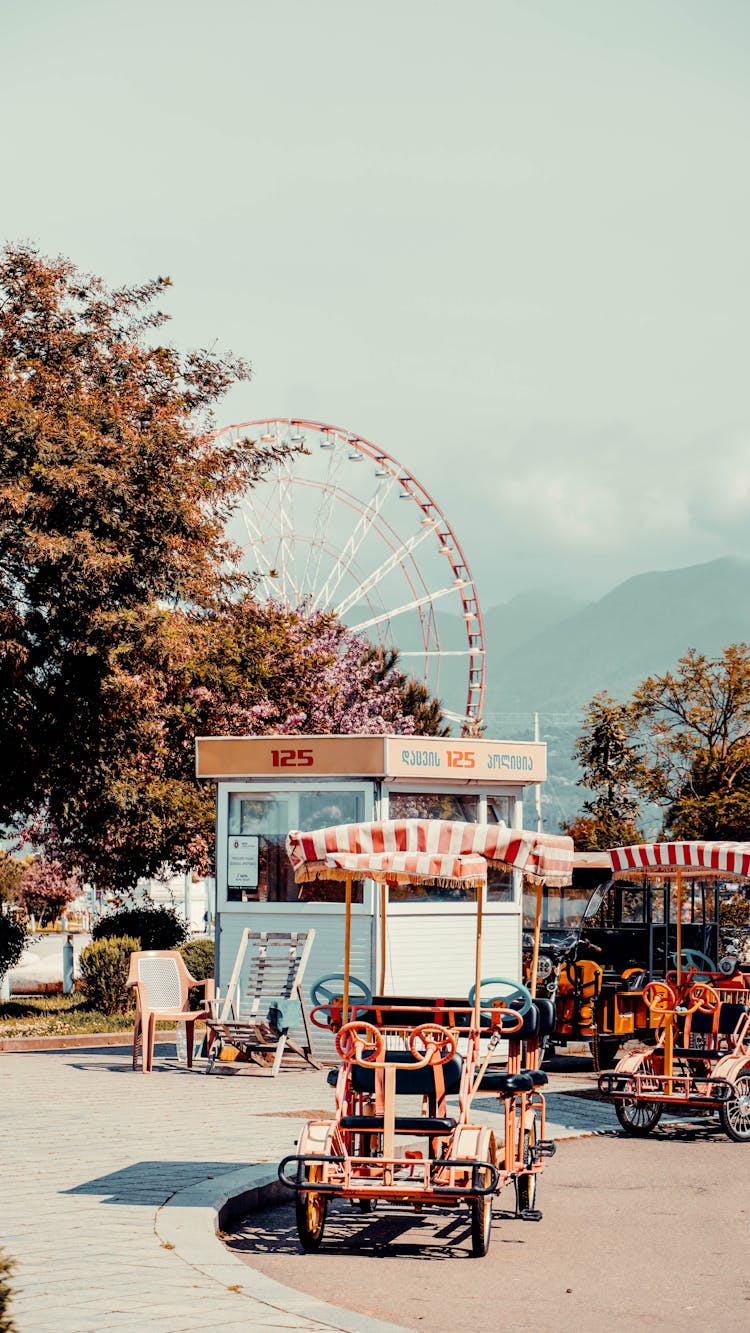 People Sitting On White Bench Near Brown Trees And Ferris Wheel