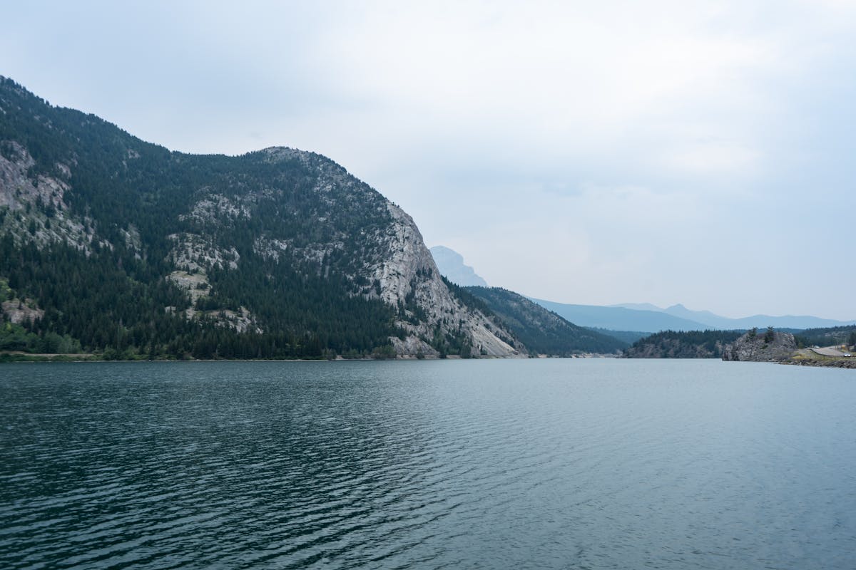 A table set with a grain bowl, salad, and a cup of green tea