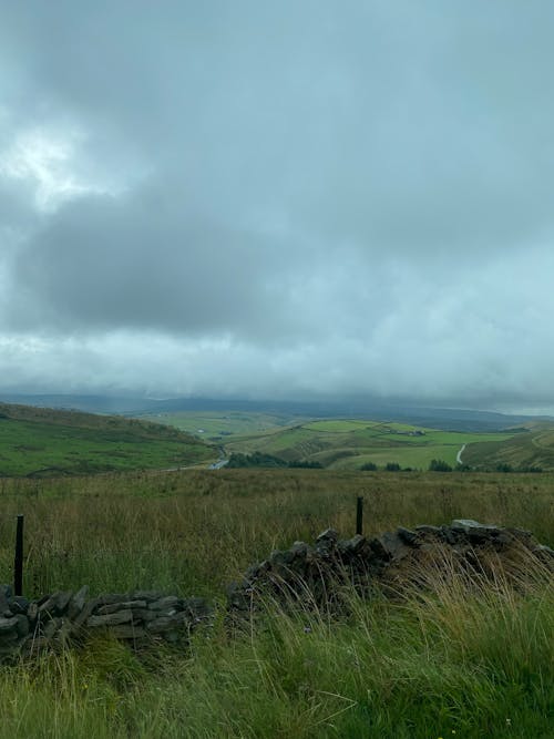 Landscape Scenery of Grass Field Under Cloudy Sky