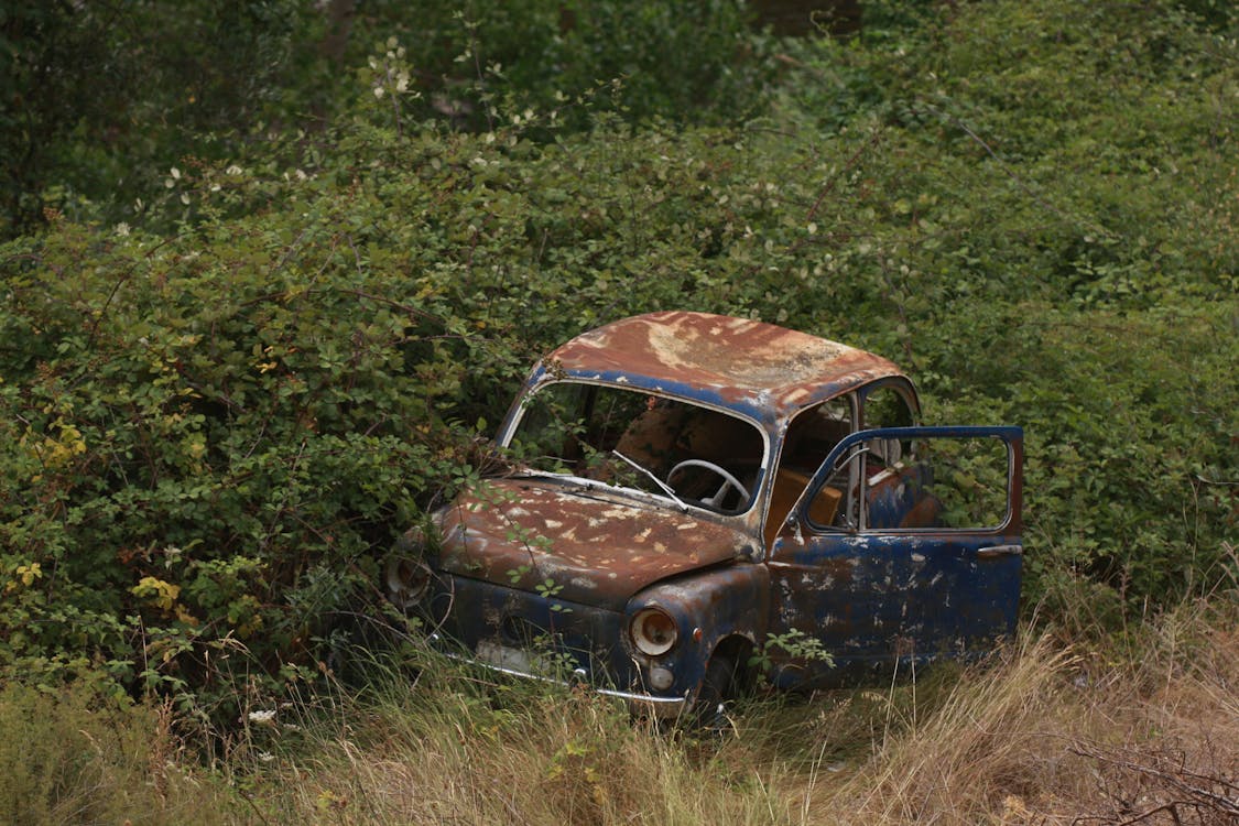 Free Rusty Blue Car on Green Grass Field Stock Photo