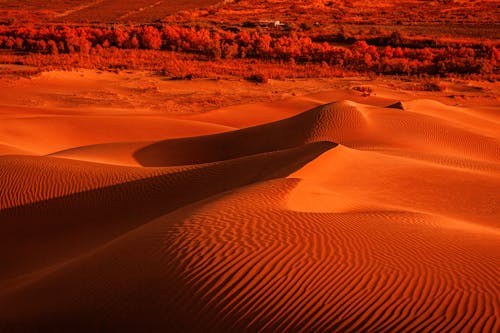 Foto stok gratis bayangan, bukit, bukit pasir