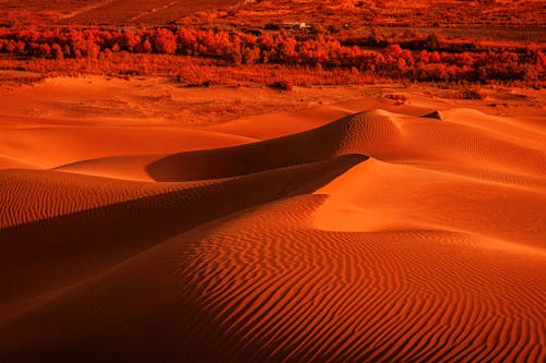 San Dunes on Dessert During Sunset