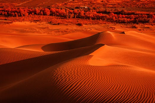 Beautiful landscape of desert dunes with warm sunset hues and shadows, showcasing nature's grandeur.