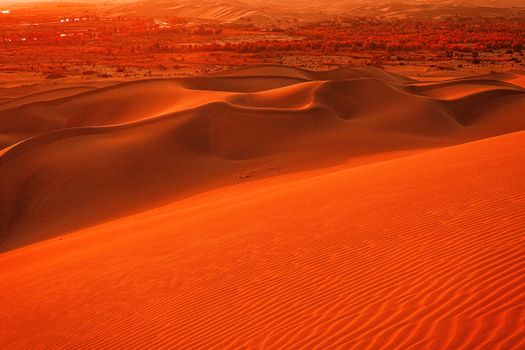 San Dunes on Dessert During Sunset
