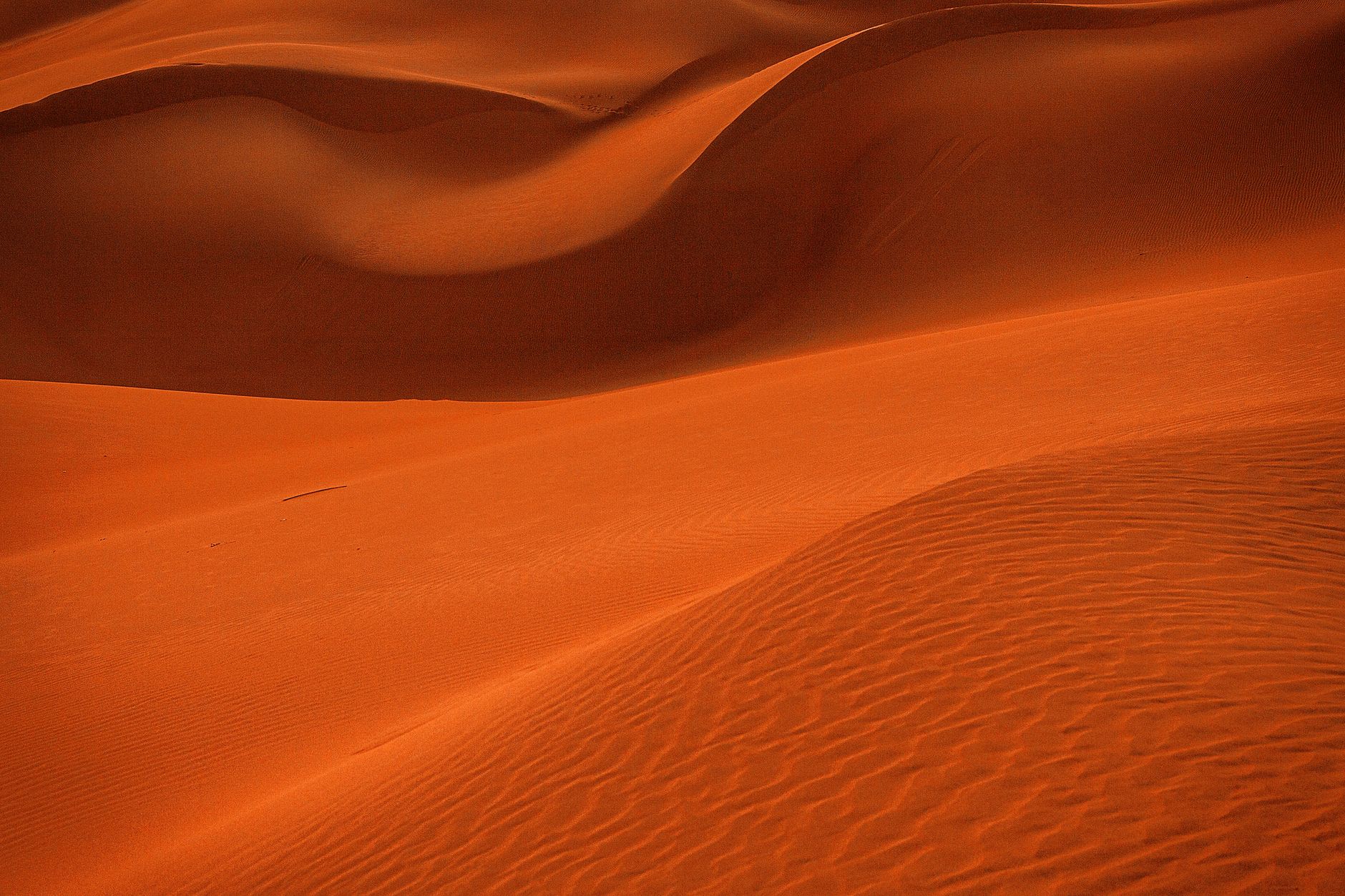 Your Expert Kgalagadi Transfrontier Park Guide