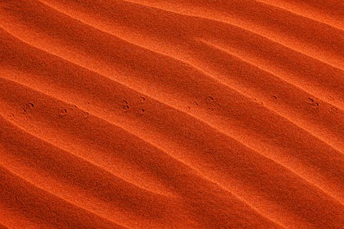 Orange Textile in Close Up Photography