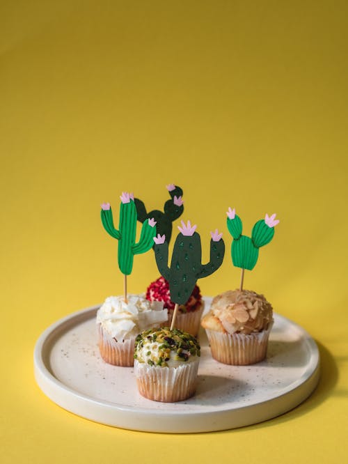 Free Foto d'estoc gratuïta de aniversari, cactus, Caramel Stock Photo