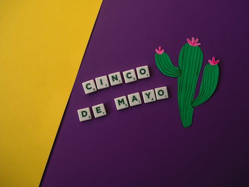 Gratis stockfoto met cactus, cinco de mayo, decoratie