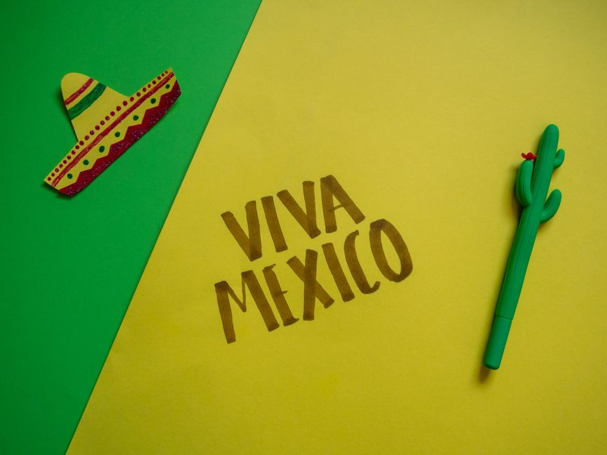 Colorful Viva Mexico scene featuring sombrero and cactus for Mexican celebration.