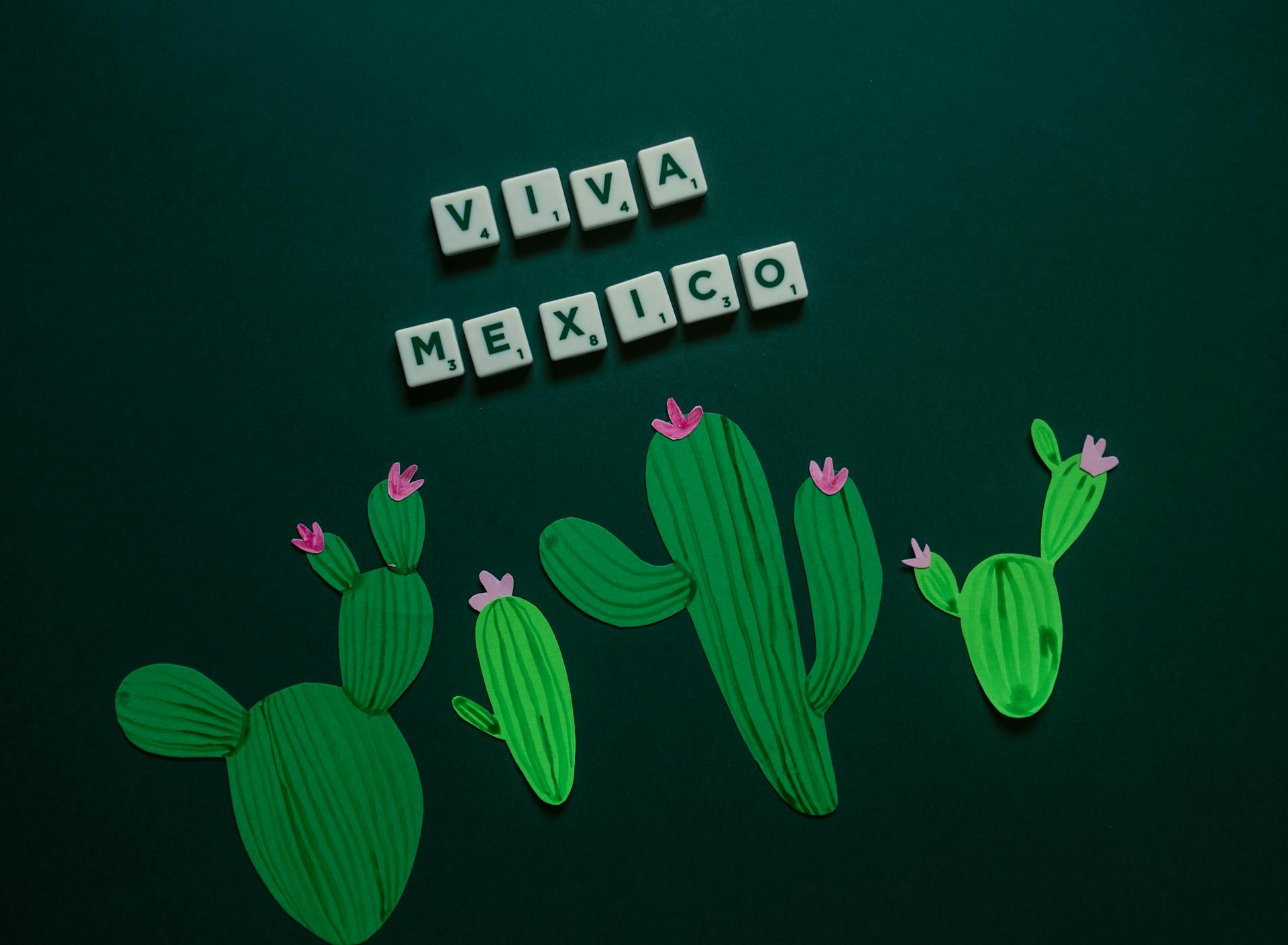 A Phrase and Paper Cacti