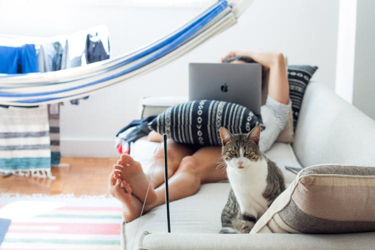 Person Lying On Sofa With Cat