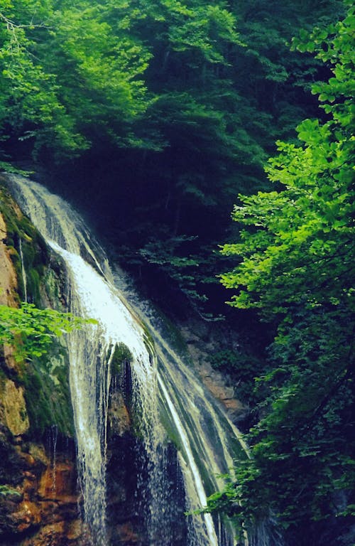 Free Waterfalls Beside Trees Stock Photo