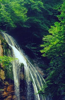 穿过郁郁葱葱的绿色森林，令人惊叹的瀑布捕捉到了夏季美丽的精髓