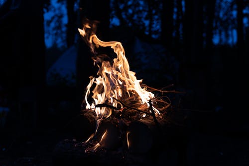A Burning Campfire at Night