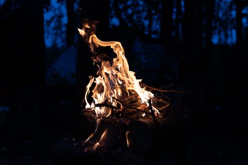 Free A mesmerizing campfire burns brightly amidst a dark forest setting. Stock Photo