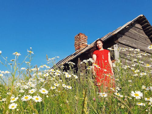 Free Woman in Red Dress Standing on Flower Field Stock Photo