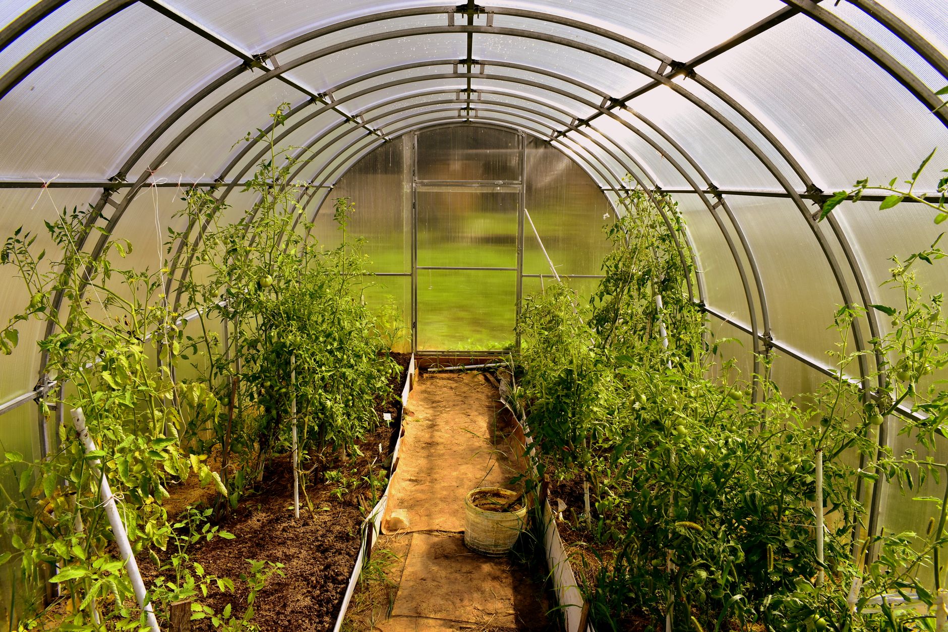 Best Greenhouse Kits of 2026