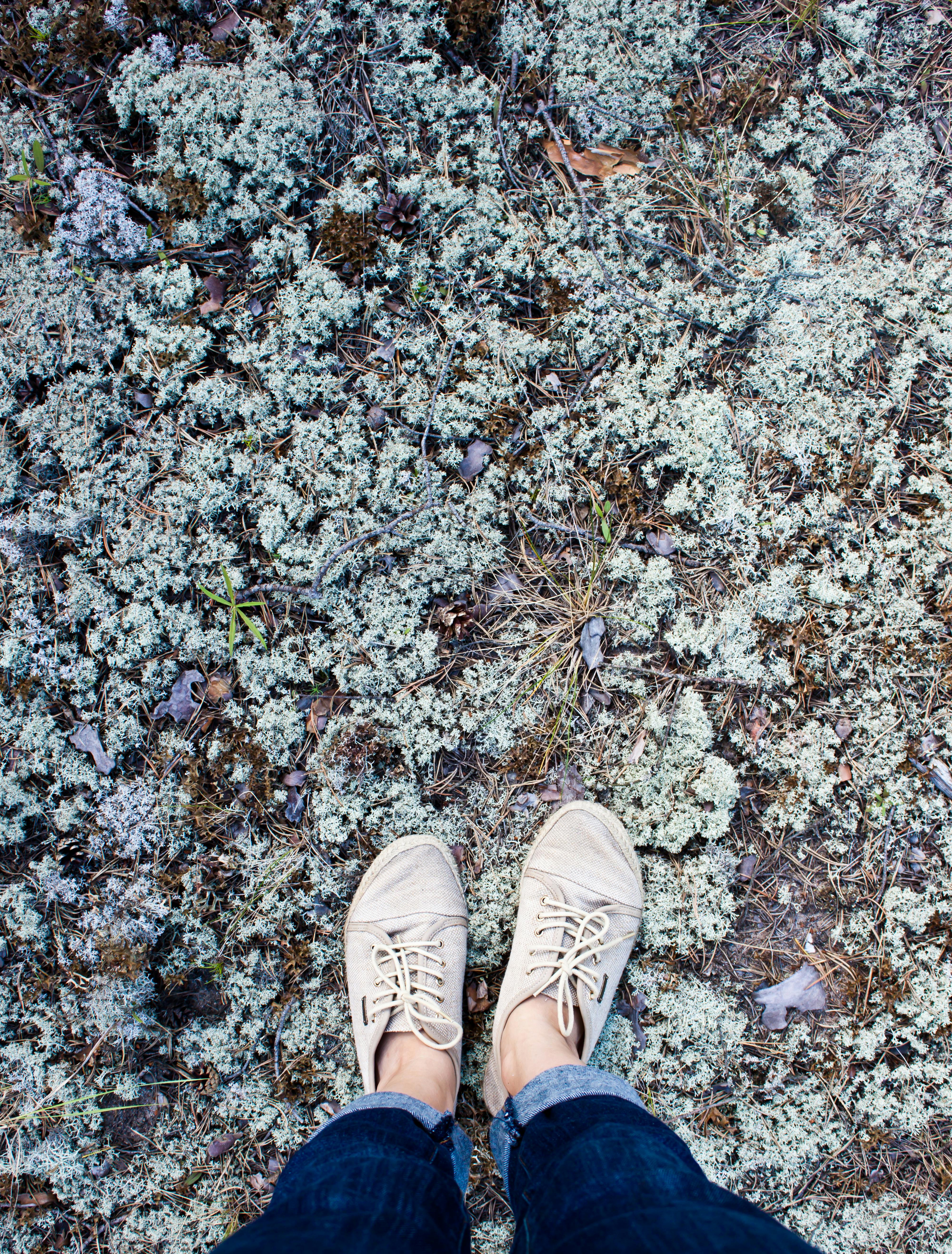 person wearing beige shoes