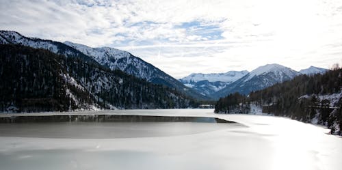 Fotografia Di Paesaggio Del Corpo D'acqua Circondato Da Alberi A Foglia Verde Vicino Alle Montagne