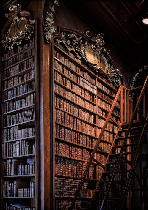 Brown Wooden Book Shelves With Books