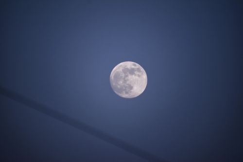 Free Captivating image of a full moon glowing against a clear night sky. Stock Photo