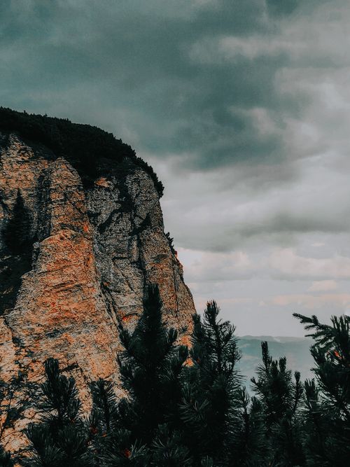 Free Majestic cliff with pine trees and overcast sky creating a dramatic scene in nature. Stock Photo
