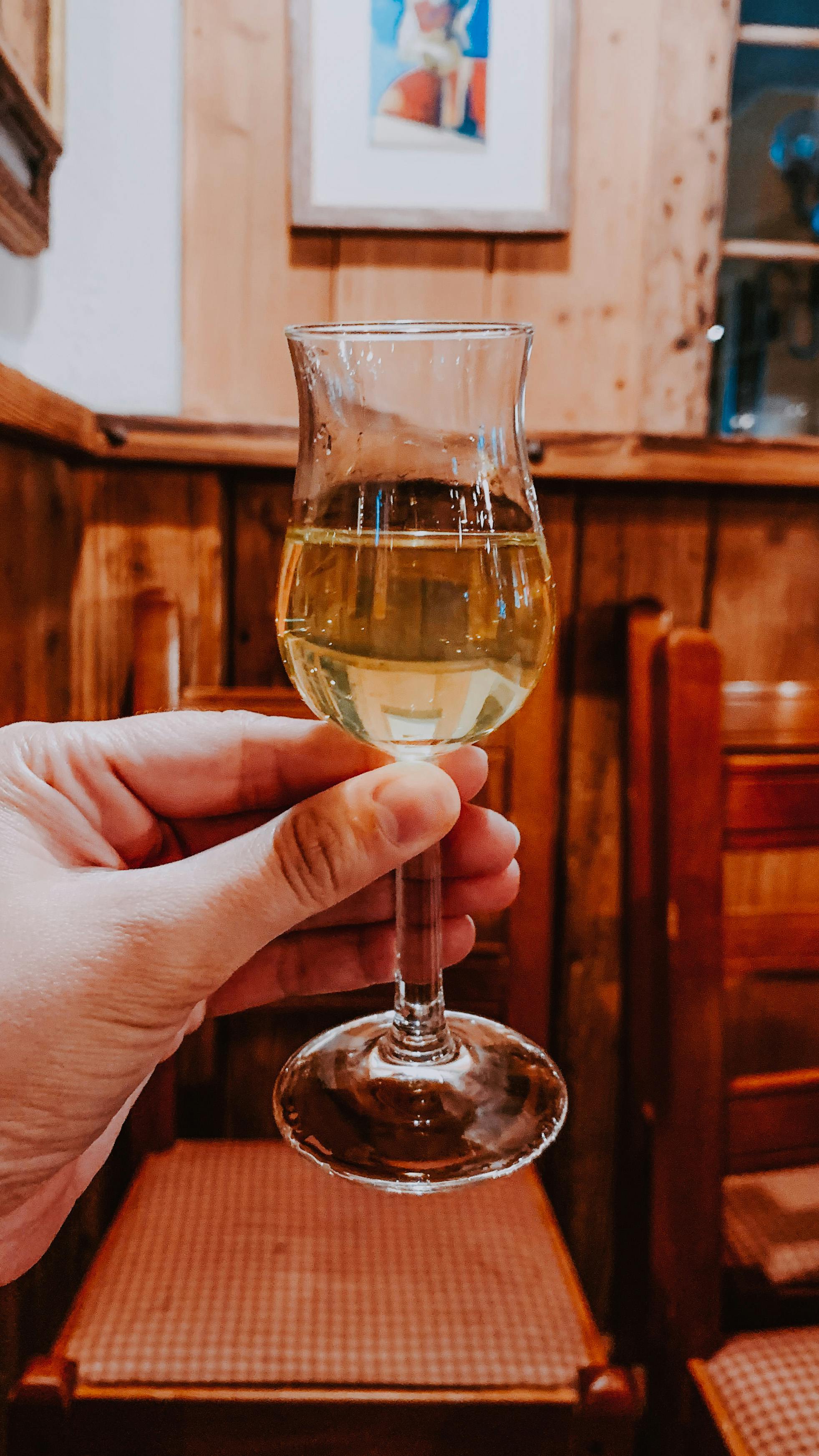 a person holding a wine glass