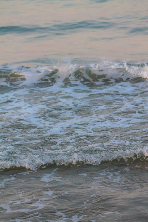 Бесплатное стоковое фото с берег, крупный план, море
