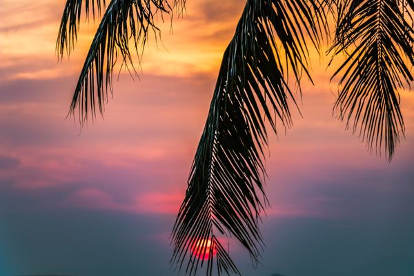 99+ ảnh về mùa hè đẹp nhất năm 2023 anh dep mua he