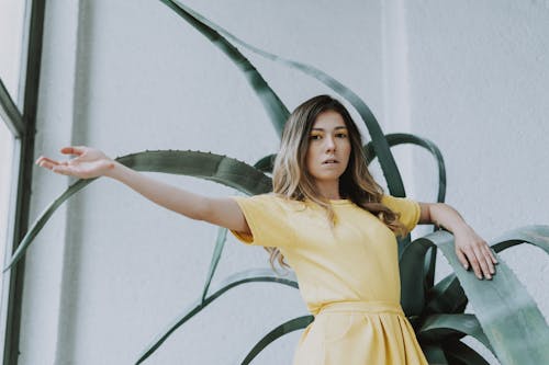 A Woman in a Yellow Dress 