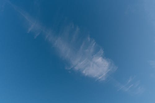 Immagine gratuita di cielo, cloud, delicato