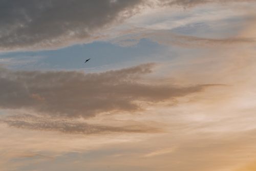 Free A silhouette of a bird flying amidst dramatic clouds during a tranquil sunset, creating a serene sky scene. Stock Photo