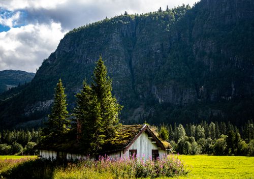 Free Charming wooden cabin surrounded by lush mountains, vibrant flora, and serene landscapes. Stock Photo