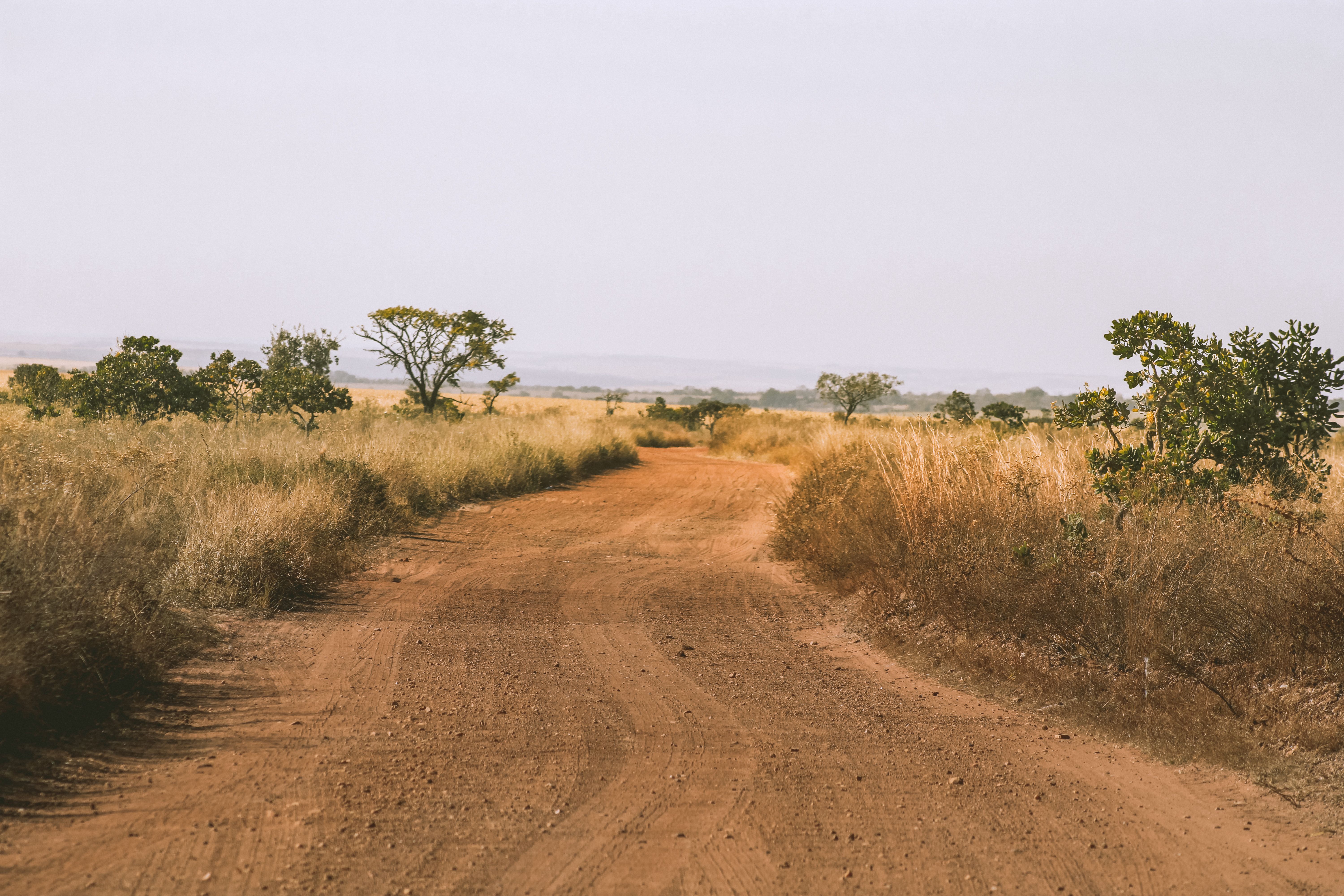 Cerrado