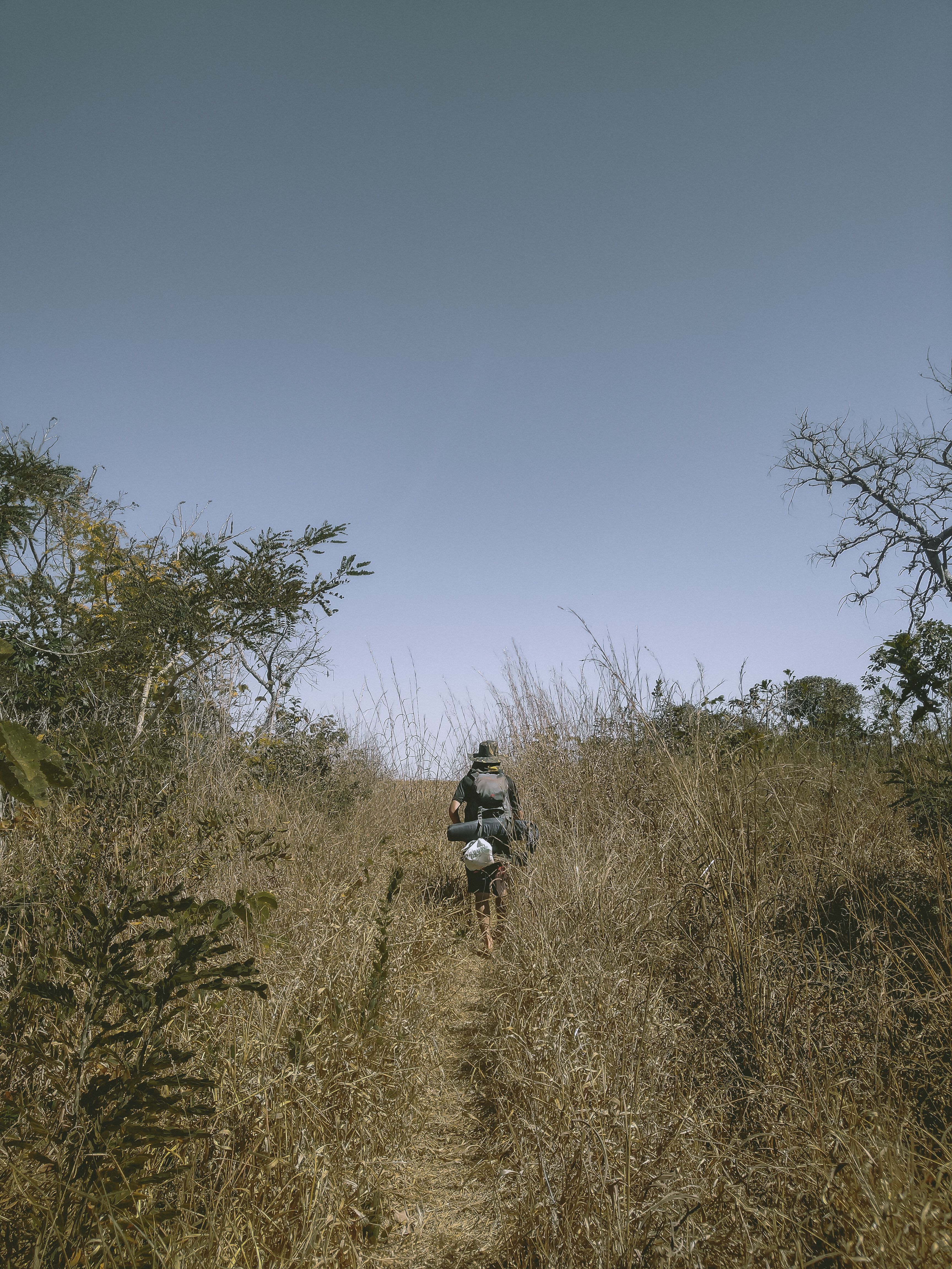 A Person Trekking · Free Stock Photo