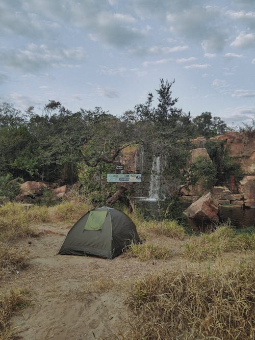 Gratis Fotos de stock gratuitas de acampada, agua, árbol Foto de stock