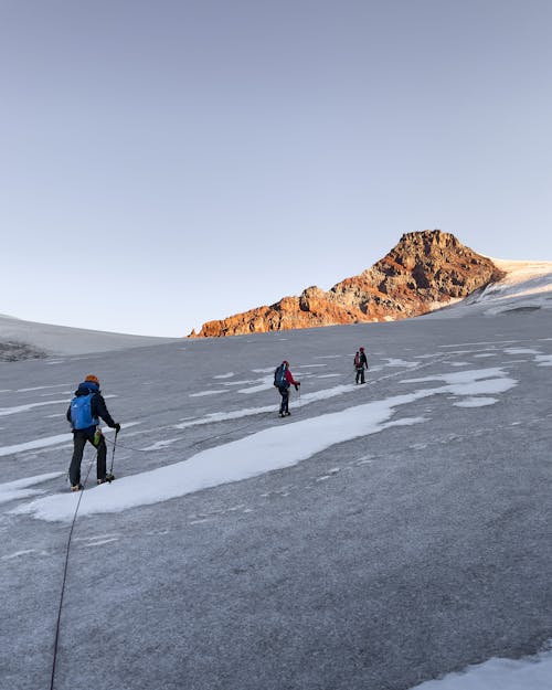 Foto d'estoc gratuïta de aventura, caminants, congelant