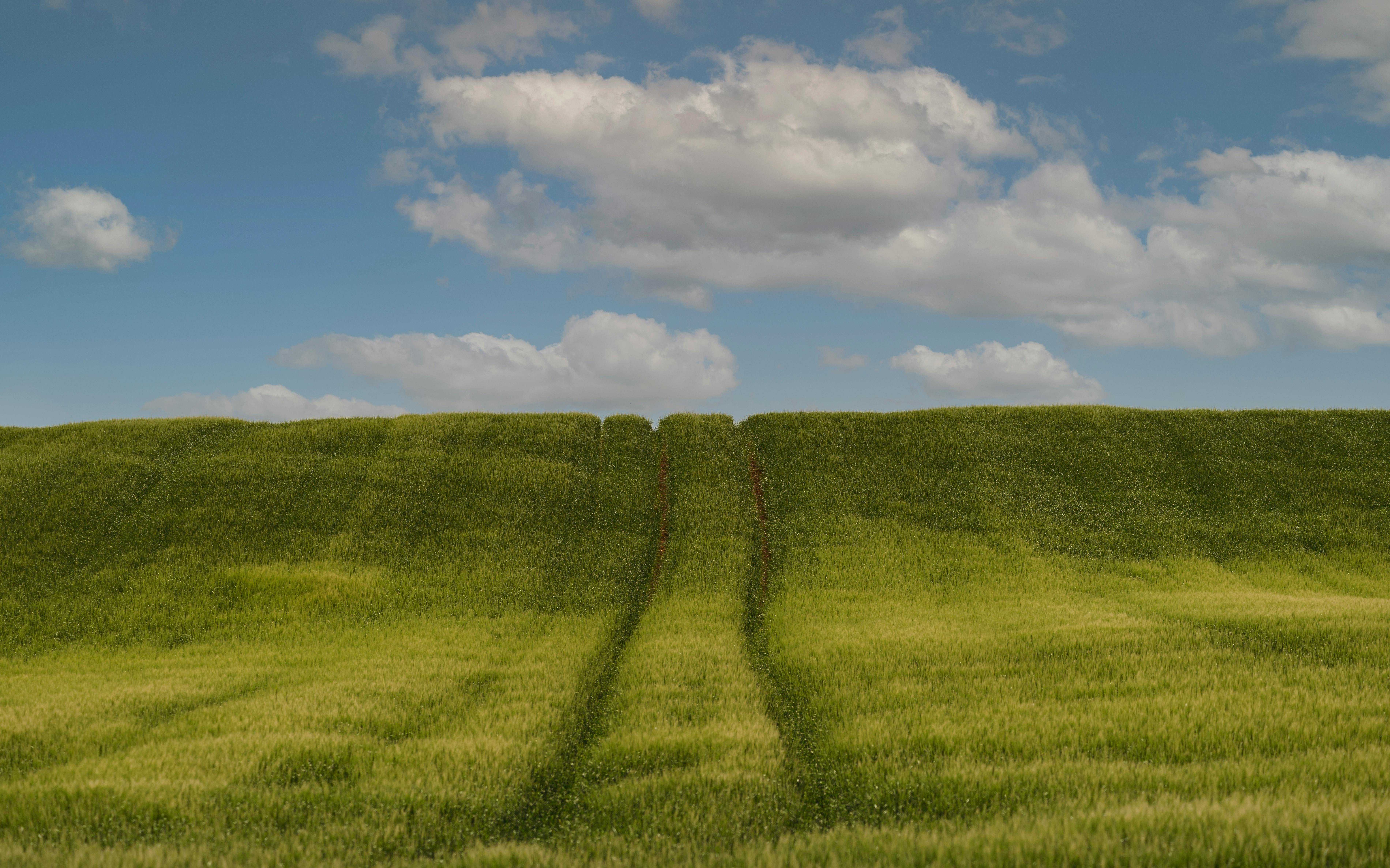 The green mile: charting the bumpy road to sustainable urban mobility — Photo by Robert Laszlo on Pexels