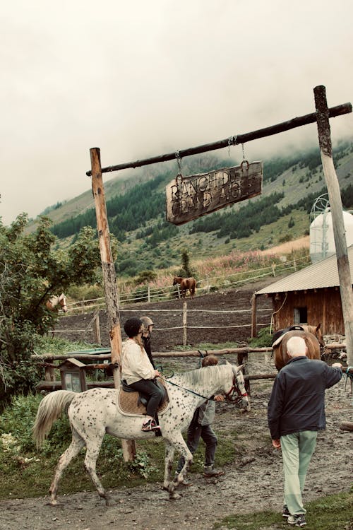 Základová fotografie zdarma na téma jezdecký, ranč, venkov