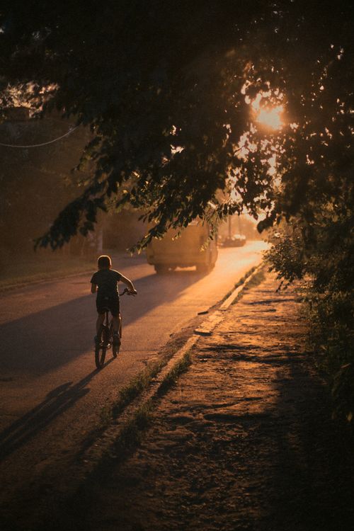 Free A young boy rides a bicycle down a tree-lined street at sunset, casting long shadows. Stock Photo