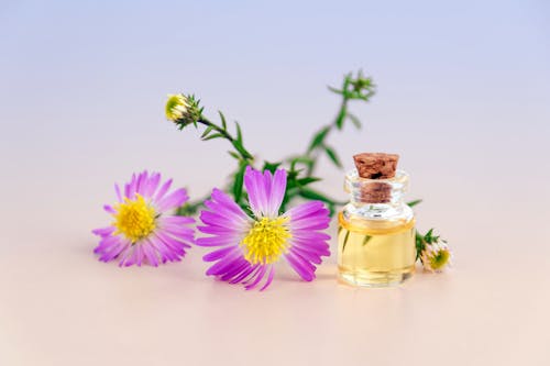 Purple Petal Flowers With Clear Glass Bottle With Cork in White Background