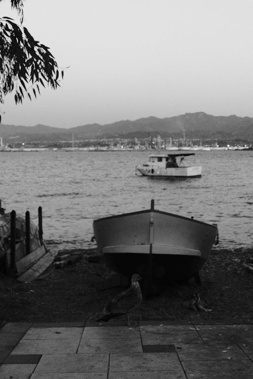 Black and White Photo of Ship on Sea and Boat on Beach