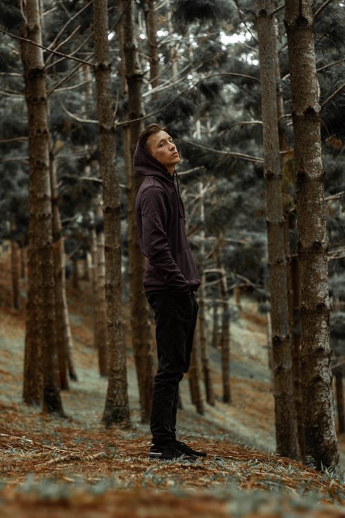 Free A young man stands confidently in a forest, hands in pockets, looking upwards. Stock Photo