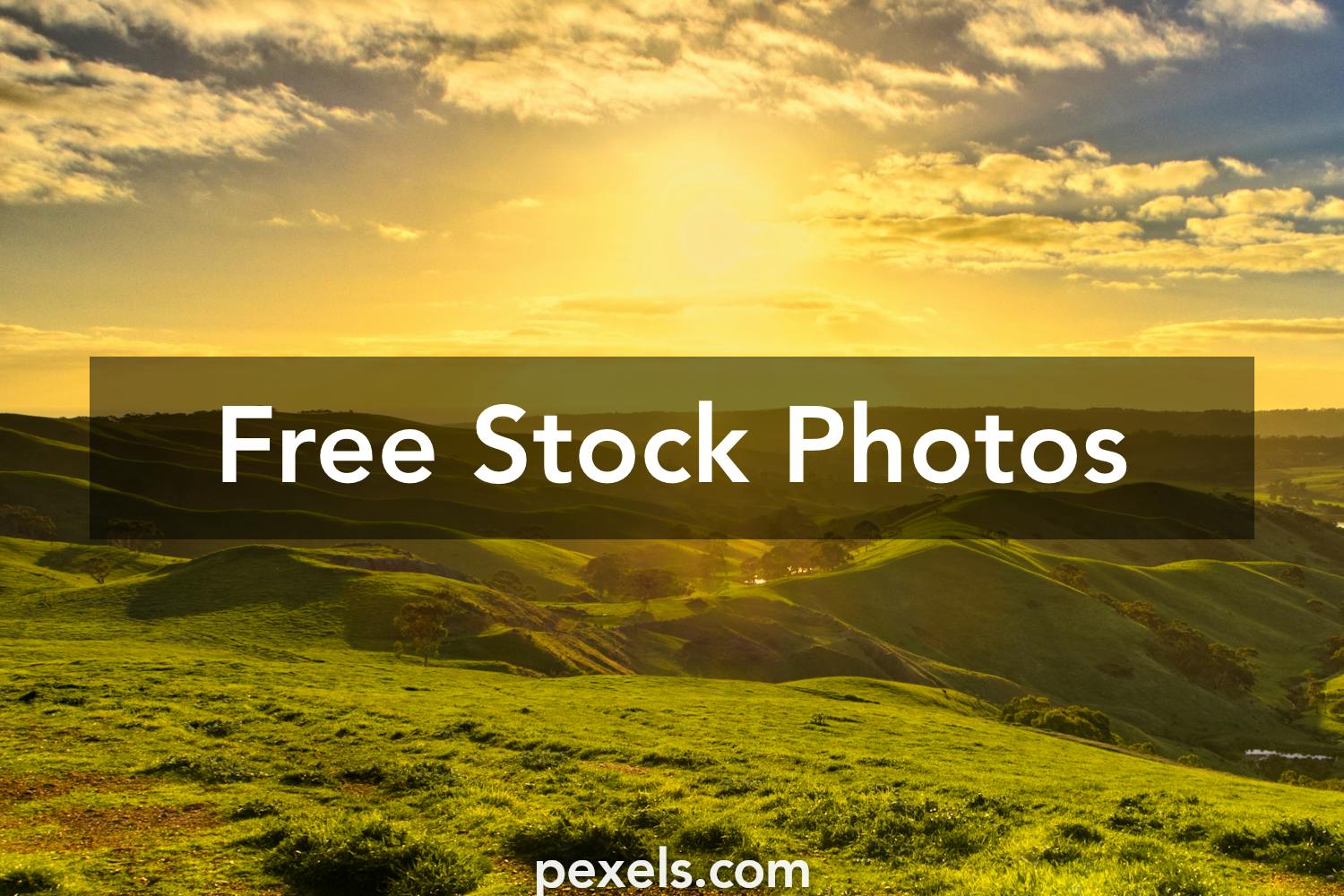 Early Morning Photos, Download The BEST Free Early Morning Stock Photos ...
