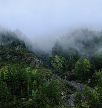 A tranquil mountain scene with mist enveloping a lush green forest, creating a peaceful and scenic atmosphere.