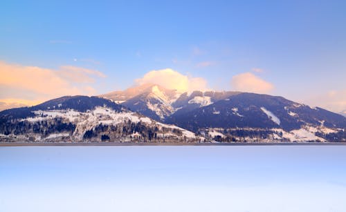 Kostenloses Stock Foto zu abenteuer, bäume, berg