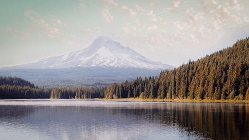 Immagine gratuita di alberi, lago, montagna